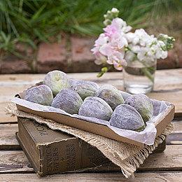 AMD锐龙7000告别脆弱针脚：八爪鱼设计用心良苦